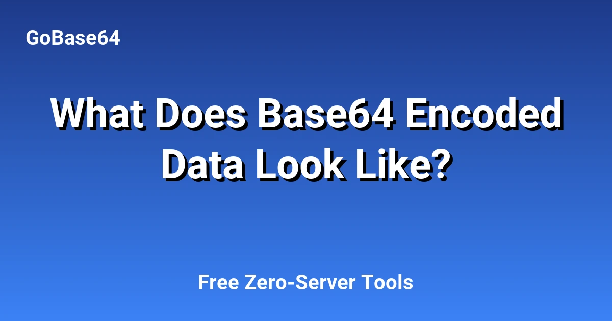 What Does Base64 Encoded Data Look Like?